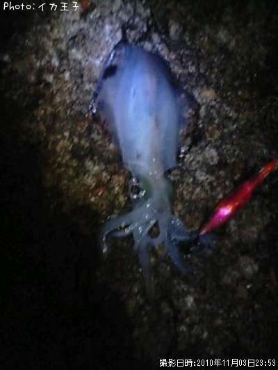 �����ꥤ��