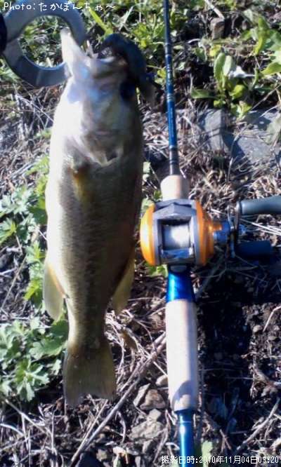 �֥�å��Х�