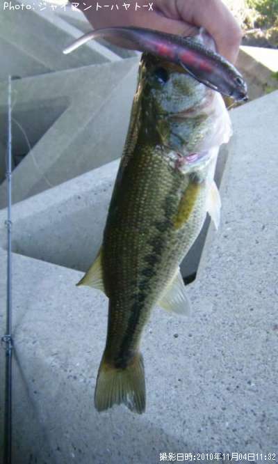 �֥�å��Х�