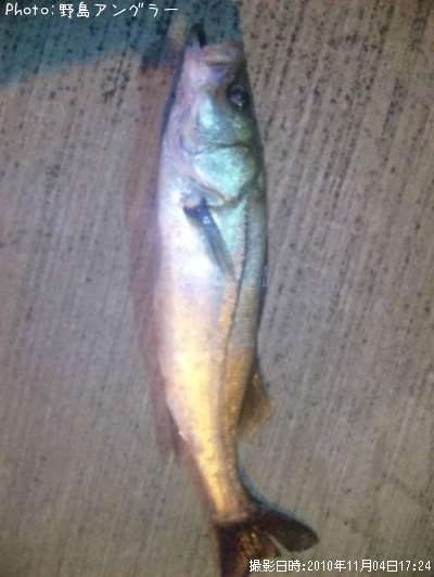 �����Х�