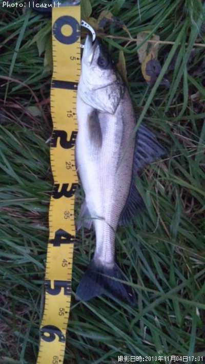 �����Х�