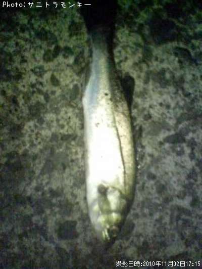 �����Х�