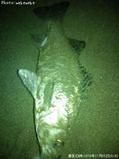 �ҥ饹����