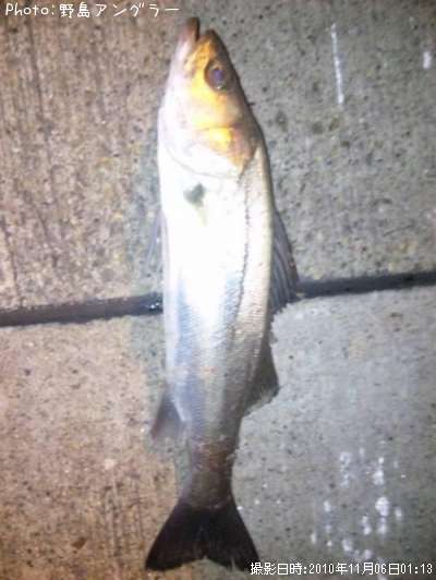 �����Х�