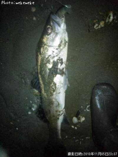 �����Х�