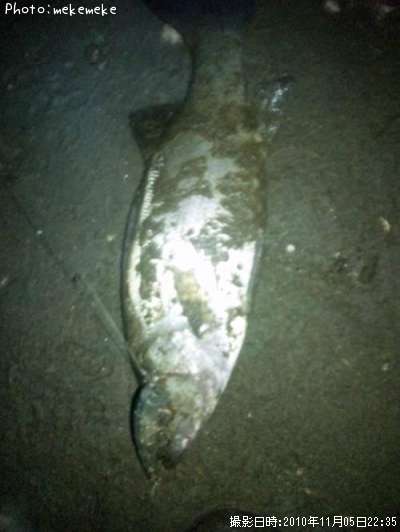 �ҥ饹����