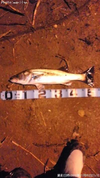 �����Х�