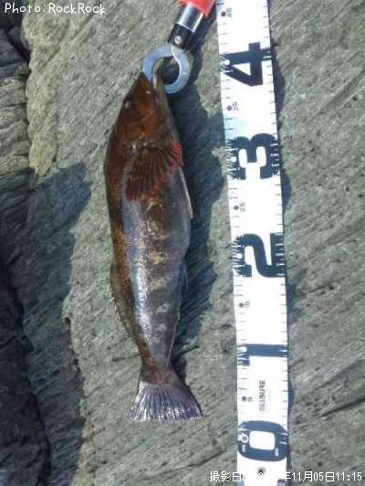 �����ʥ�