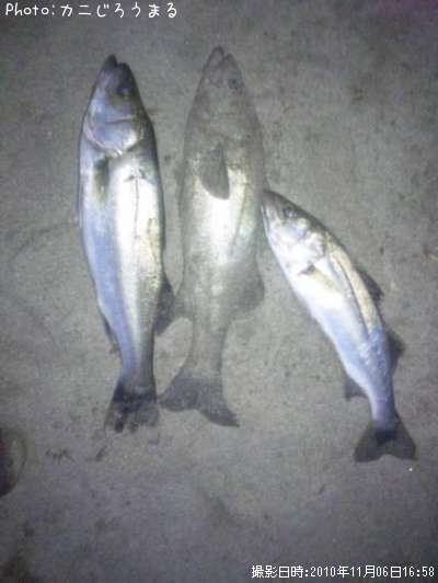 �����Х�