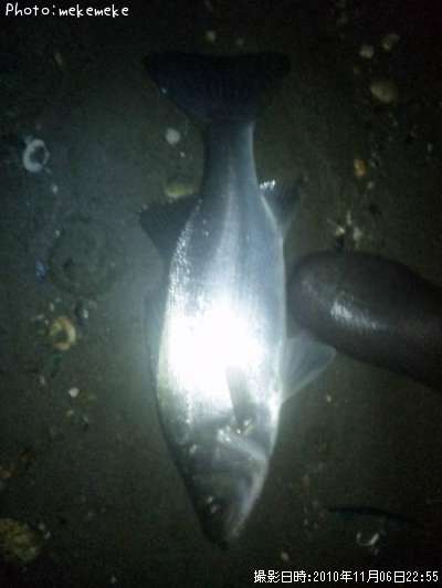 �ҥ饹����