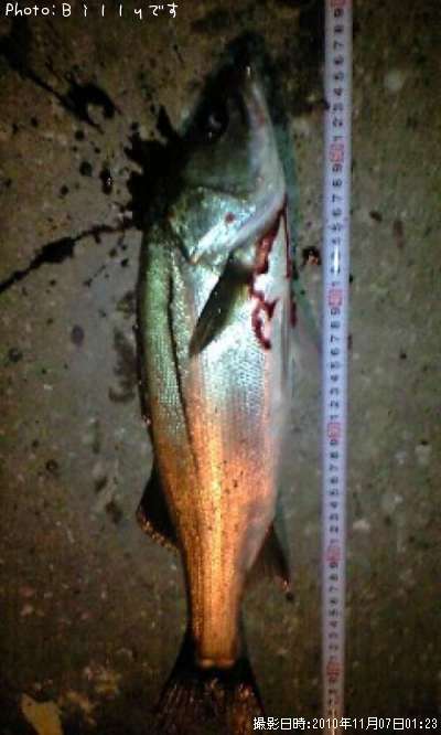 �����Х�