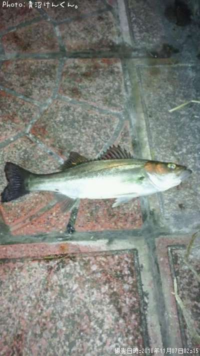 �����Х�