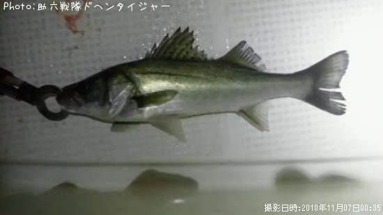 �����Х�