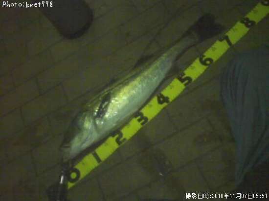 �����Х�