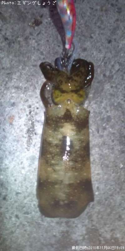 �����ꥤ��