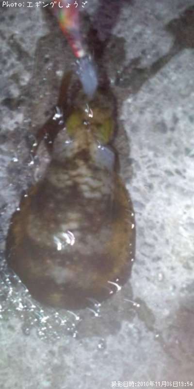 �����ꥤ��