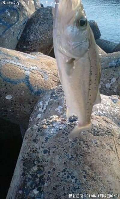 �����Х�