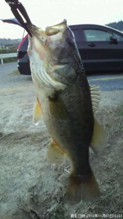 �֥�å��Х�