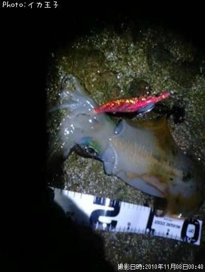 �����ꥤ��