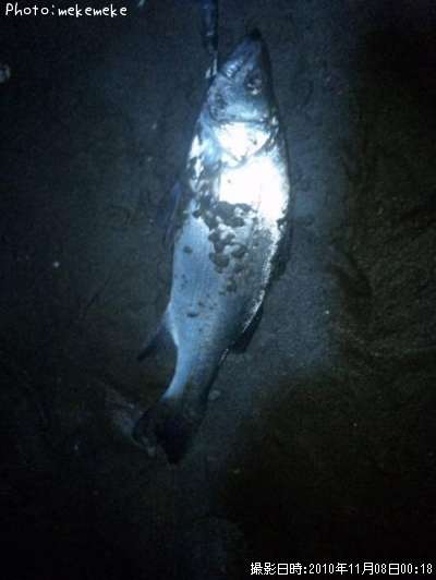 �ҥ饹����