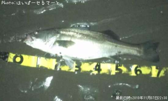 �����Х�