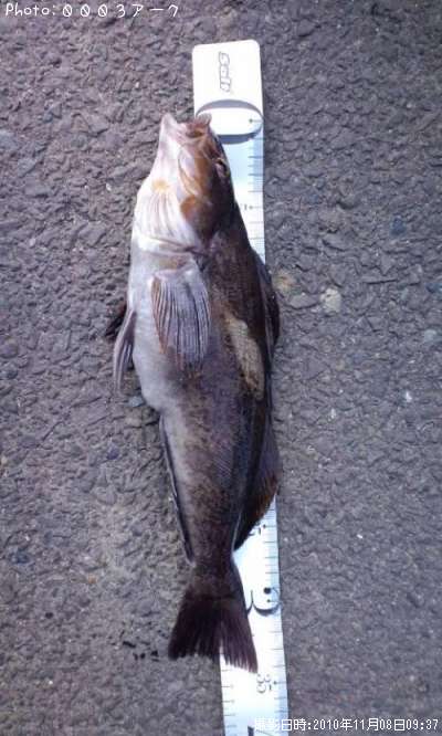 �����ʥ�