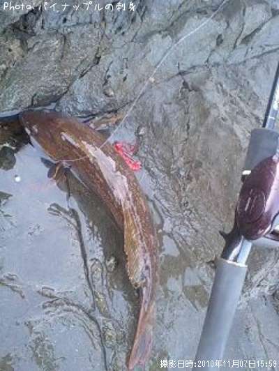 �����ʥ�