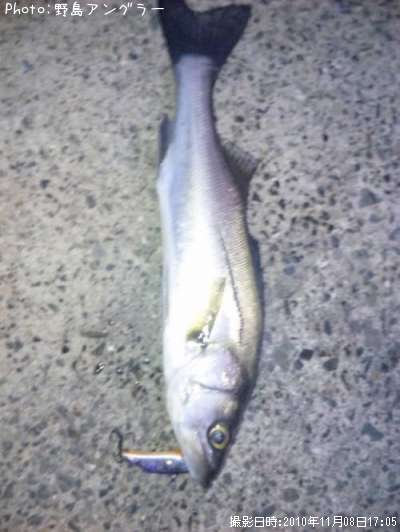 �����Х�