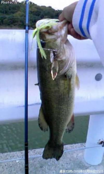 �֥�å��Х�