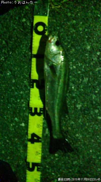 �����Х�