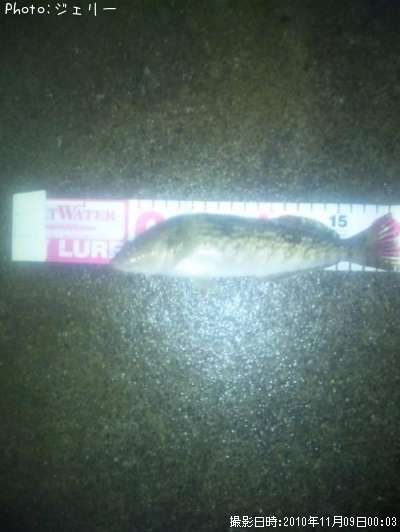 �����ʥ�