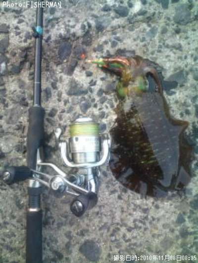 �����ꥤ��