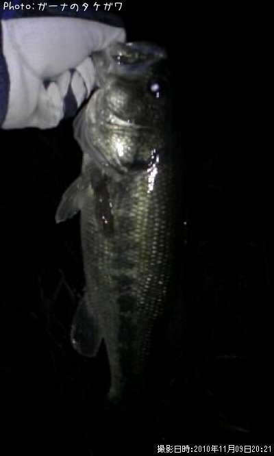 �֥�å��Х�