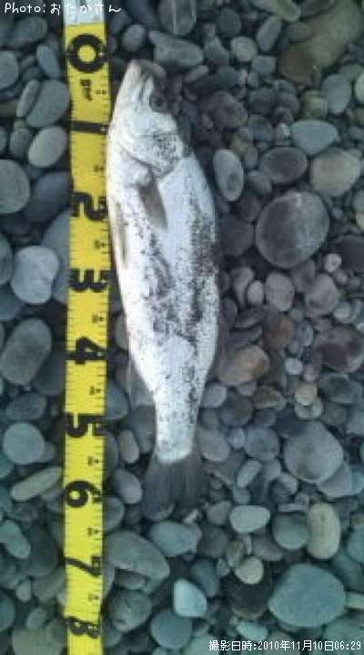 �ҥ饹����