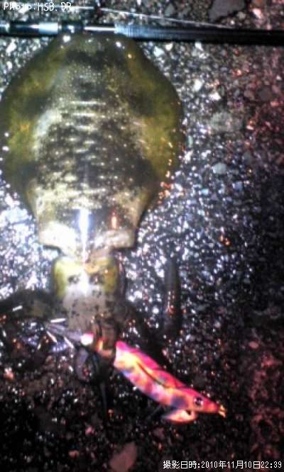 �����ꥤ��