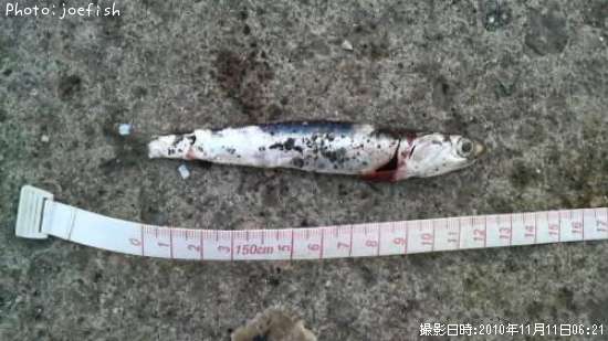 �����������亮