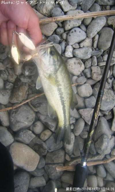 �֥�å��Х�