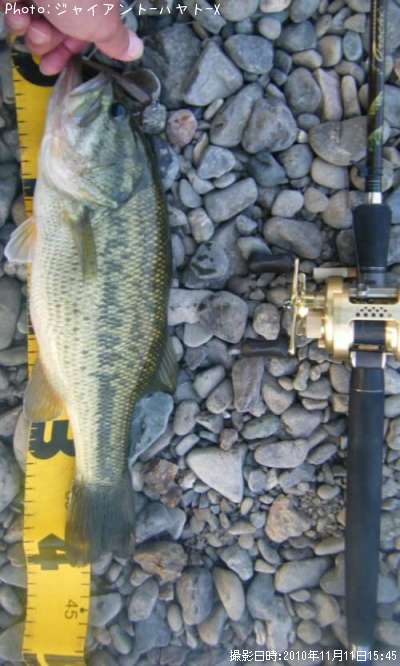 �֥�å��Х�