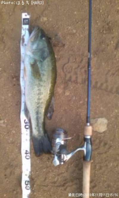 �֥�å��Х�