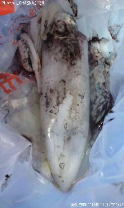 �����ꥤ��