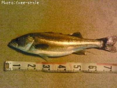 �ӣ��£���