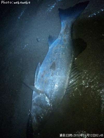 �ҥ饹����