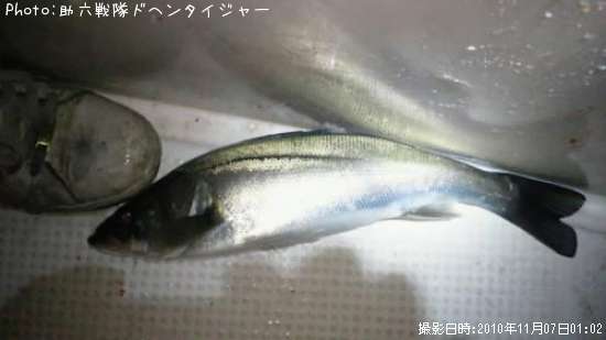 �����Х�