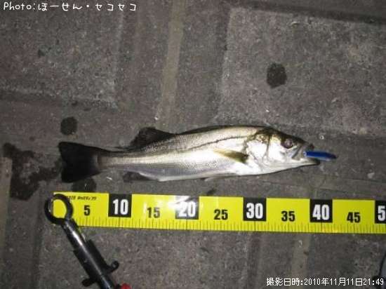 �����Х�