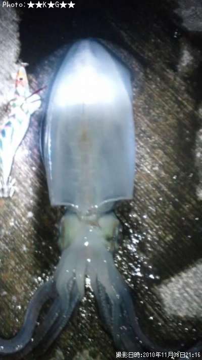 �����ꥤ��