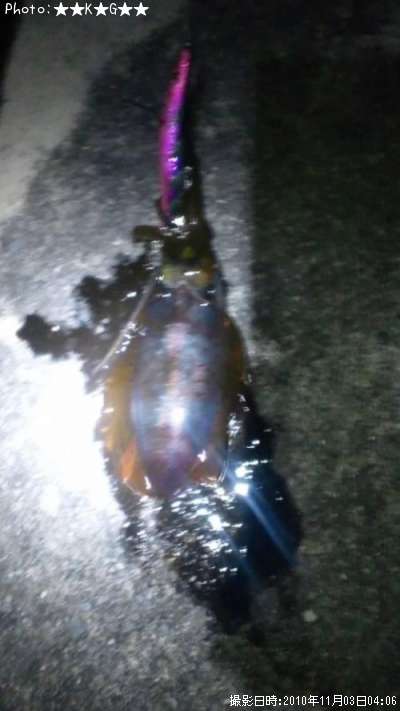 �����ꥤ��