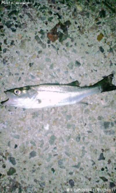 �����Х�