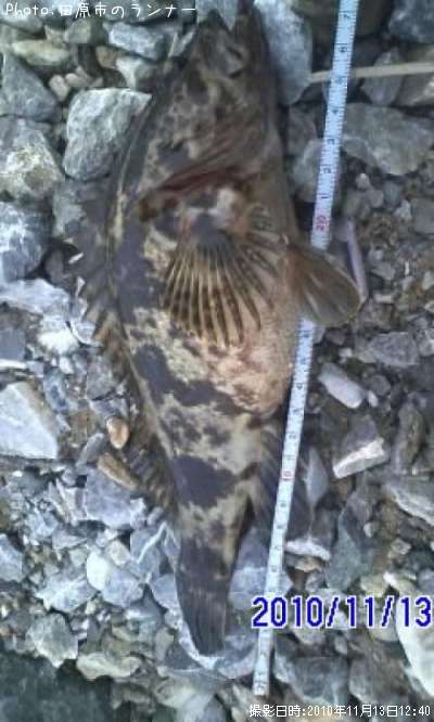 �����Υ���Х�