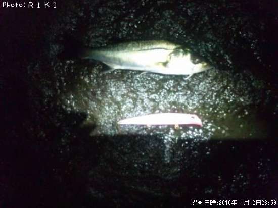 �����Х�