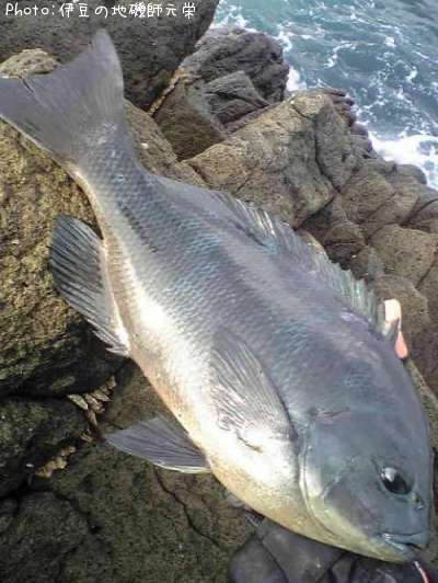 �����᥸��